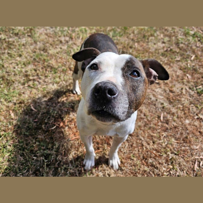 Photo of Blaze Newhaven