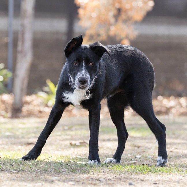 Photo of Murphy