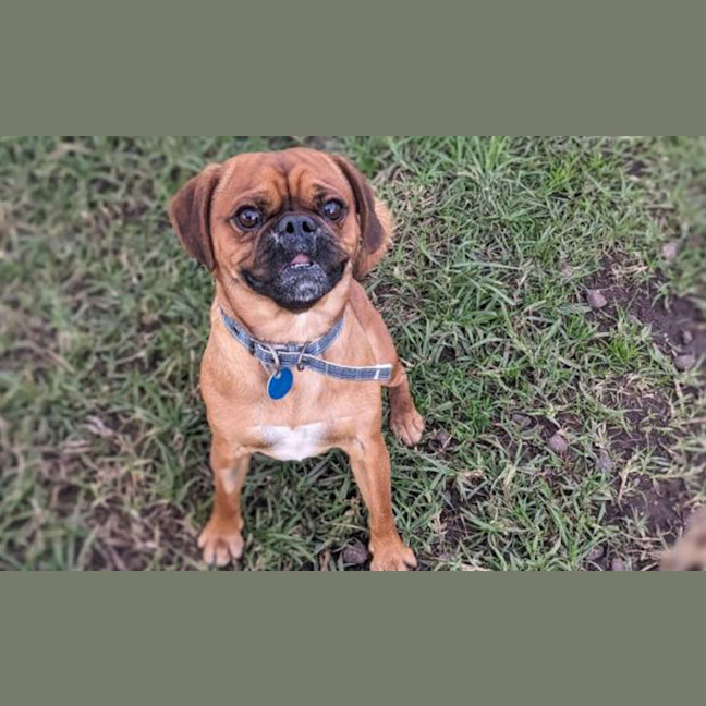 Photo of Mason
