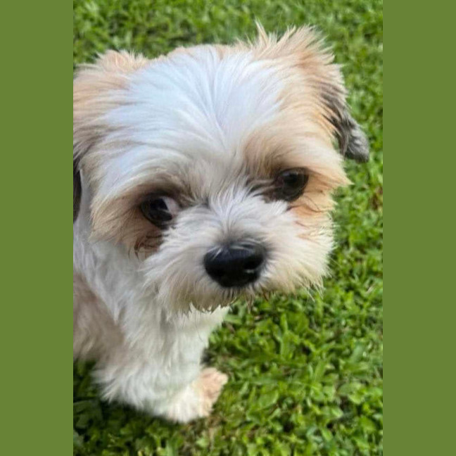 Photo of Chewy & Squiddley