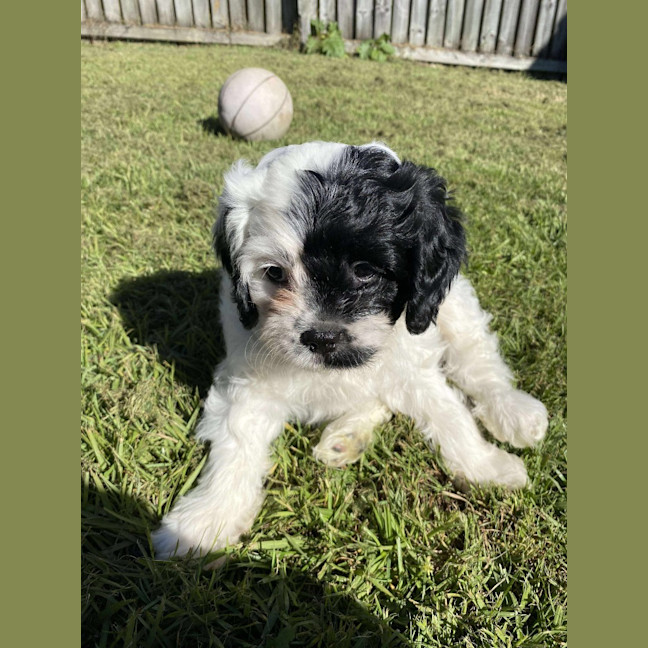 Photo of Minnie