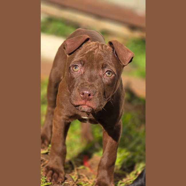 Photo of Zap