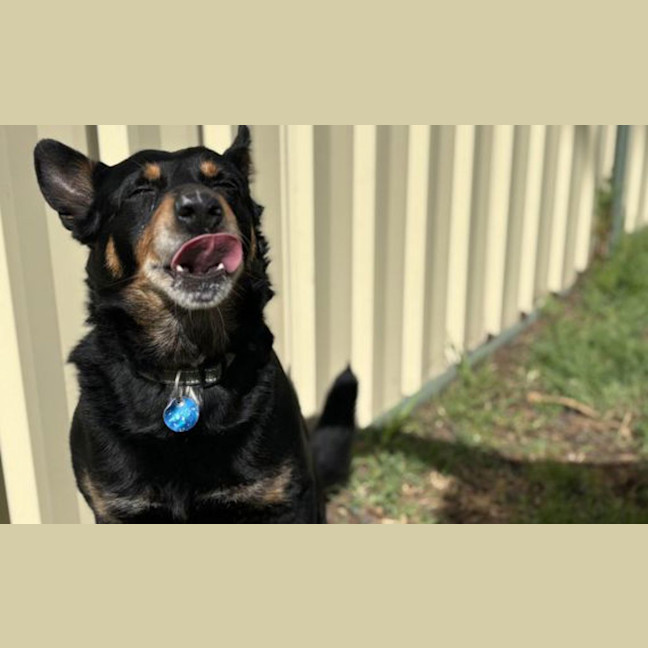 Photo of Raymond