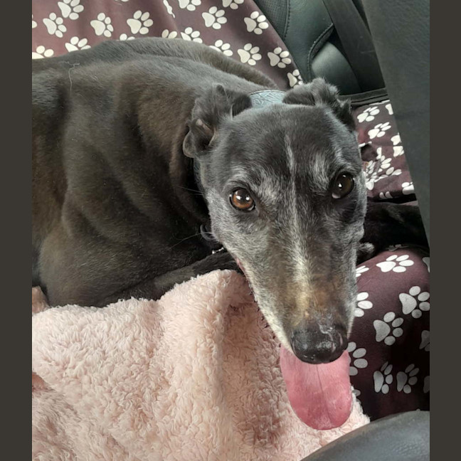 Photo of Wilma