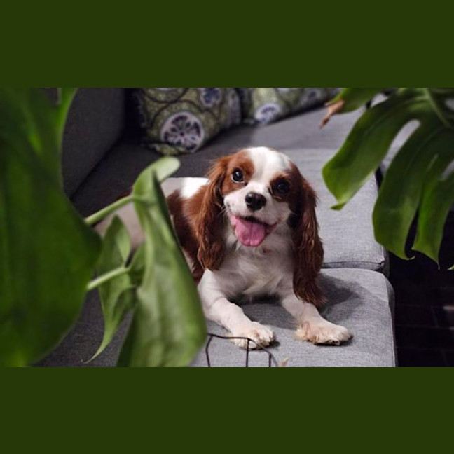 Photo of Zoe
