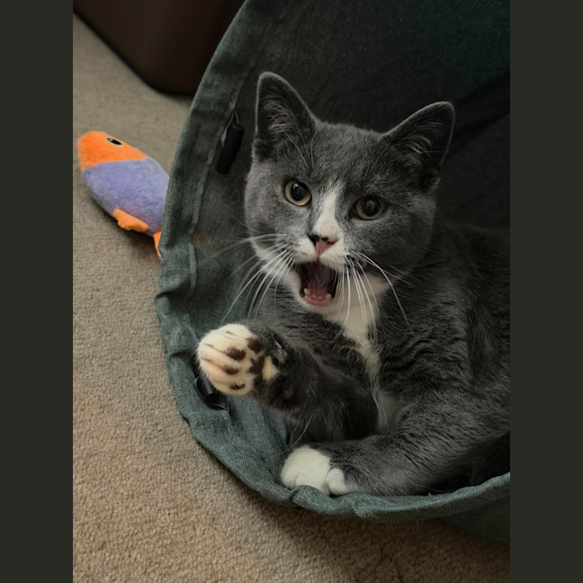 Photo of Gus