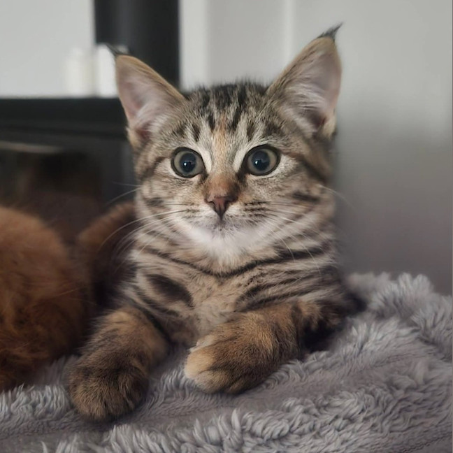 Photo of Esme