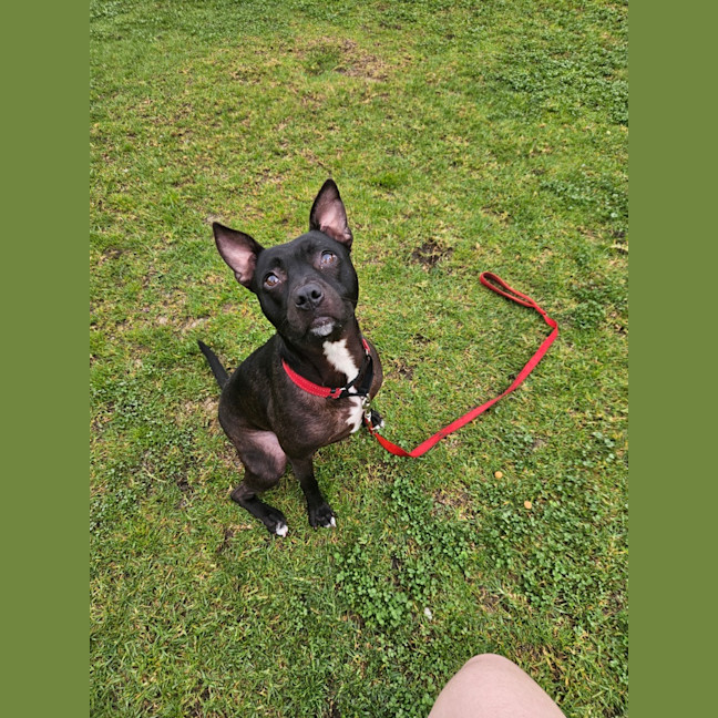 Photo of Nora