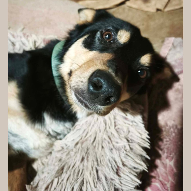 Photo of Lola
