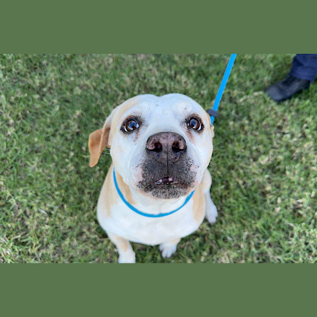 Photo of Astro