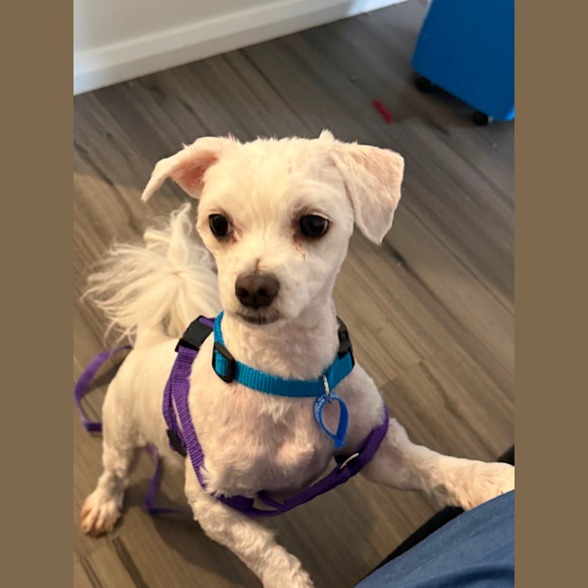 Photo of Benny