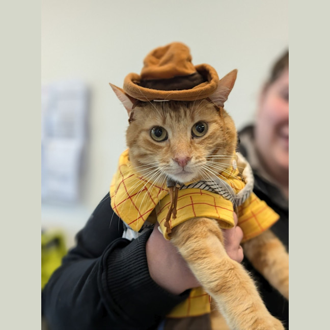 Photo of 🥝 Freddie 5515 🥝