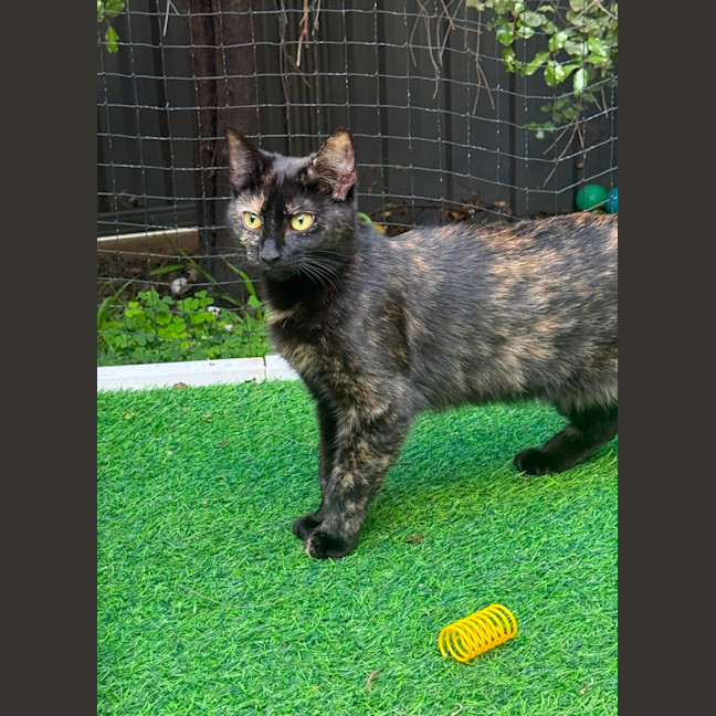 Photo of Wednesday