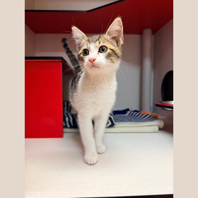 Photo of Jaspurr