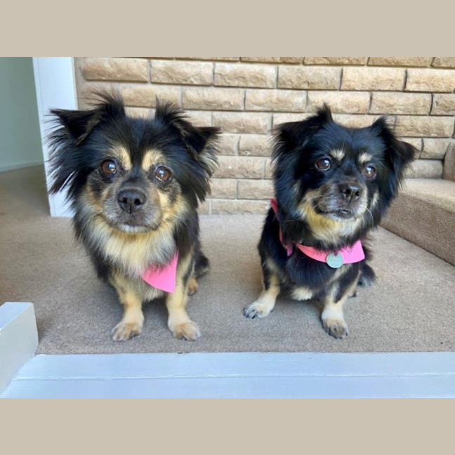 Photo of Kimchi And Kizha Newhaven