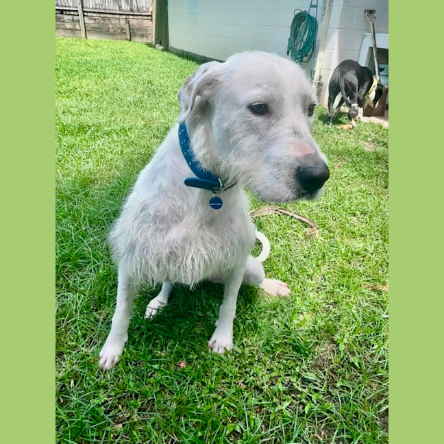 Photo of Betty 