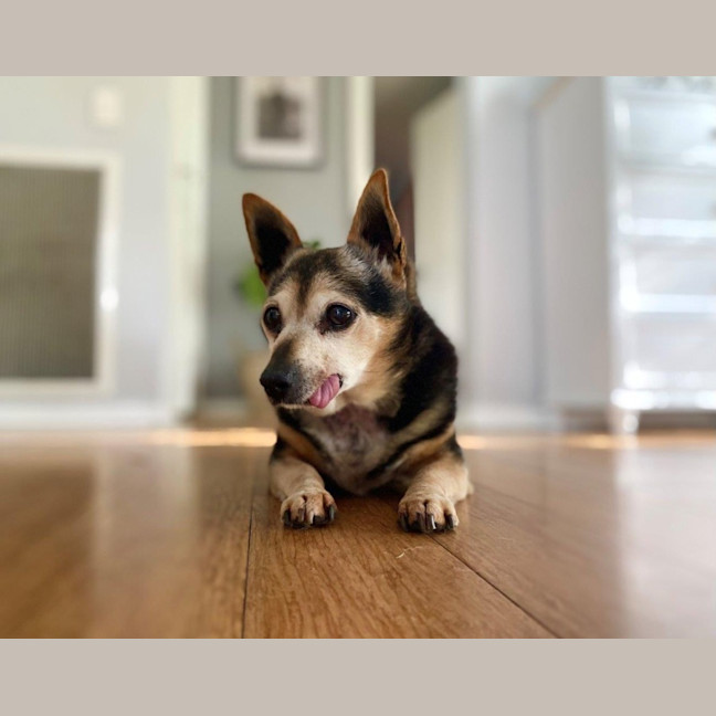 Photo of Miguel Kumara