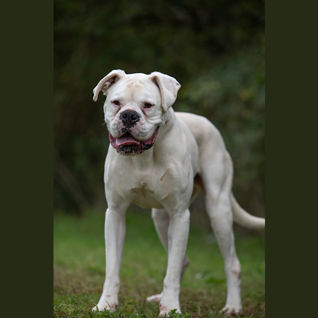 Photo of Beny