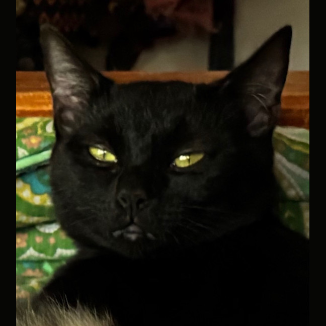 Photo of Griselda