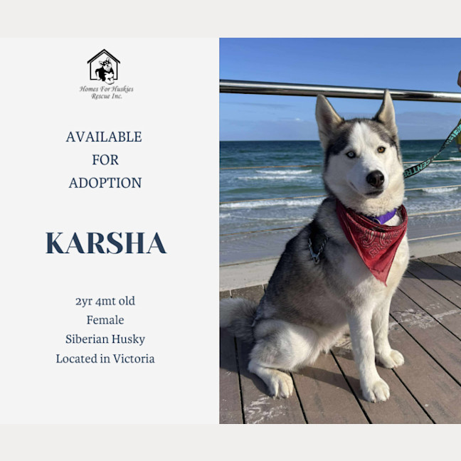 Photo of Karsha (Kay)