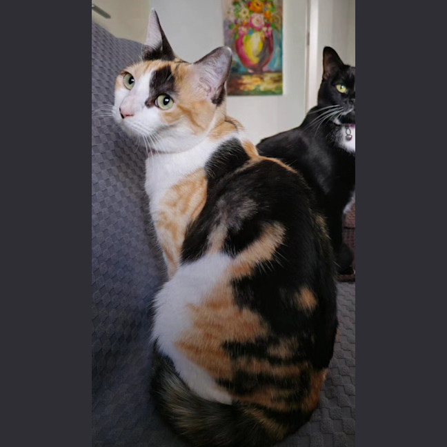 Photo of Tabitha