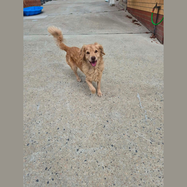 Photo of Fonzie! 💃
