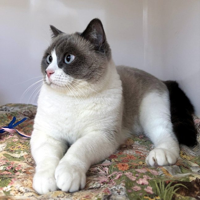 Photo of Cleo Sua013502