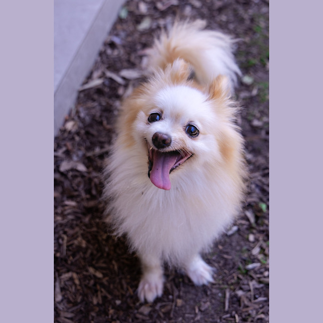 Photo of Bellatrix