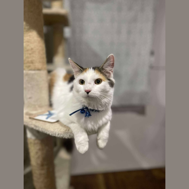 Photo of Spice