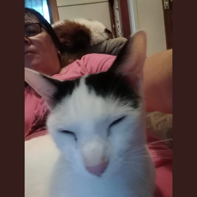 Photo of Lucky