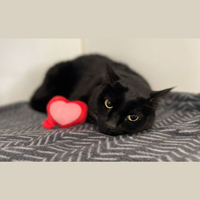 Photo of Rosie