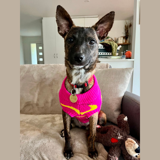 Photo of Tivah