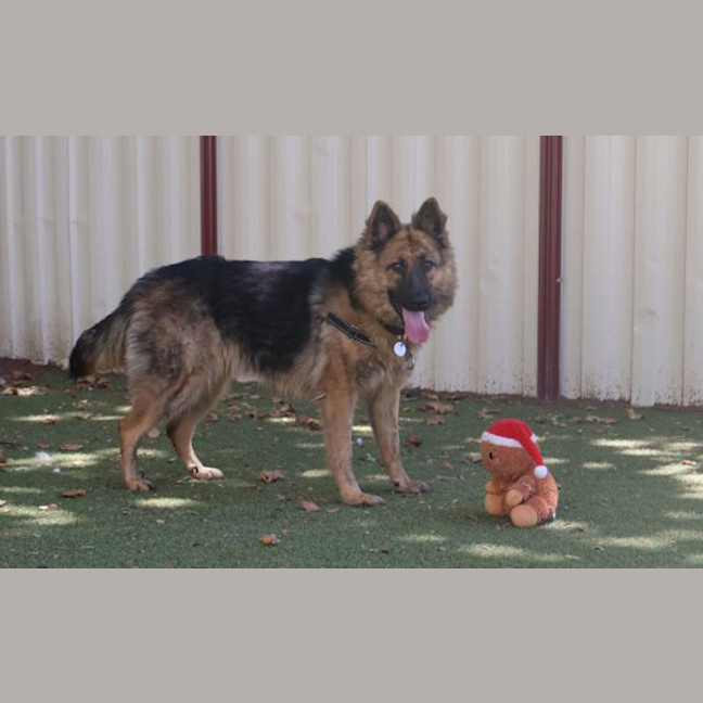 Photo of Delilah