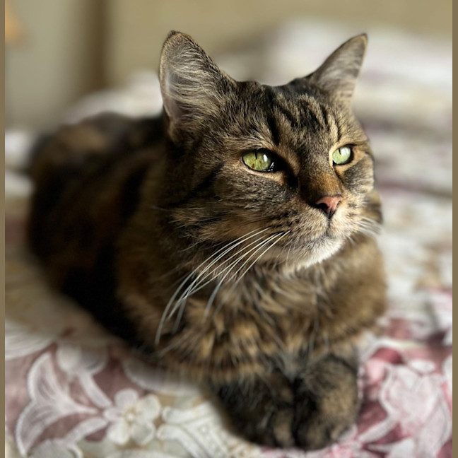 Photo of Charlotte