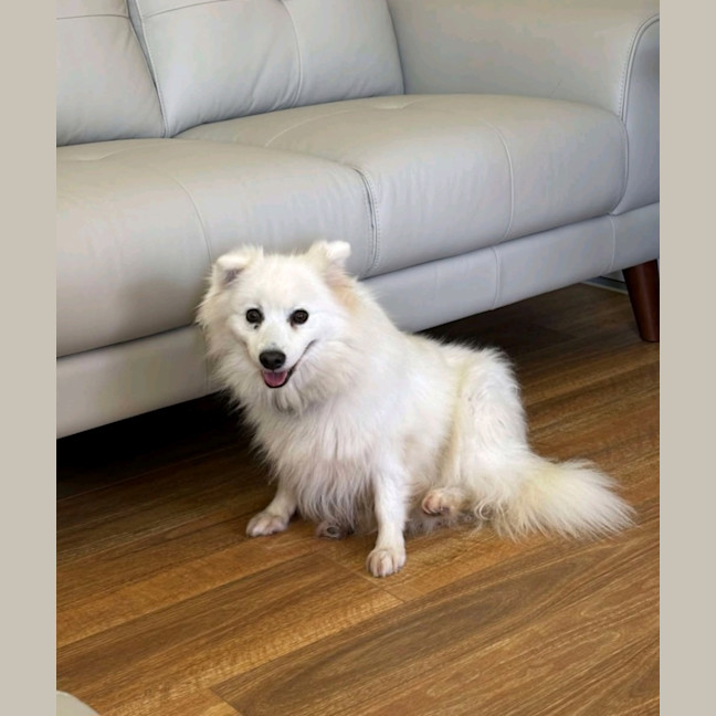 Photo of Keiko