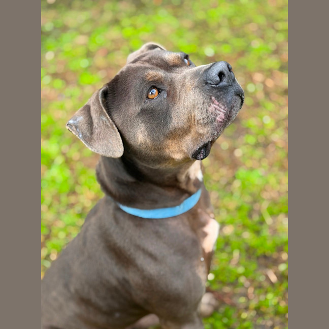 Photo of Bud