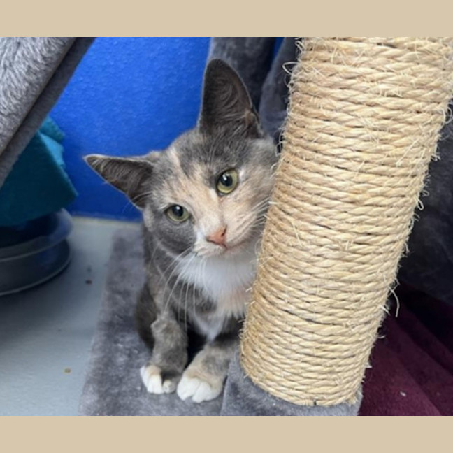 Photo of Stormy