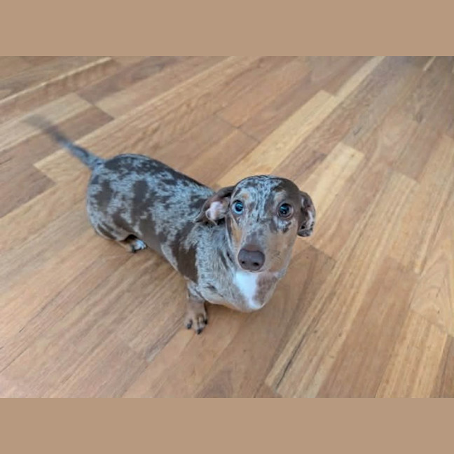 Photo of Liberty And Del