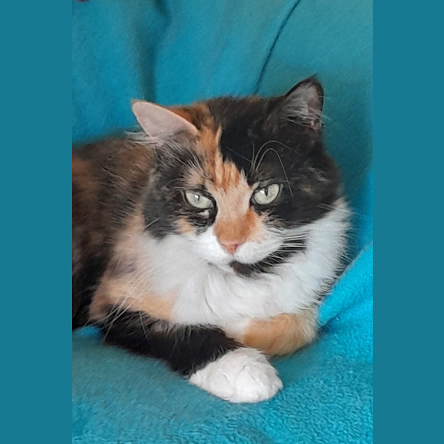 Photo of Elisabeth Sparkle