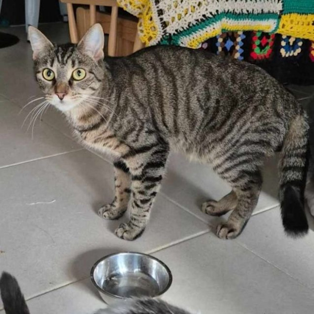 Photo of Spencer & Penny