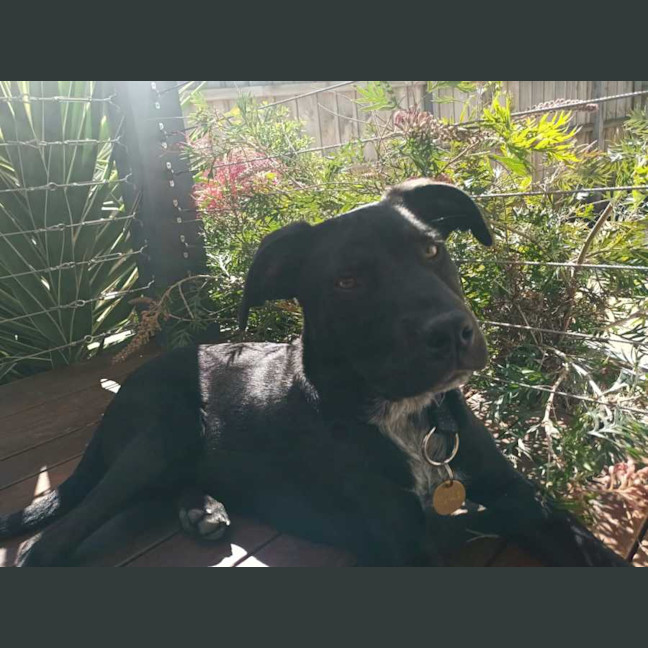 Photo of Waldorf