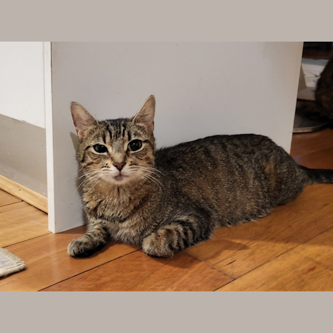 Photo of Tina 🌹🌹