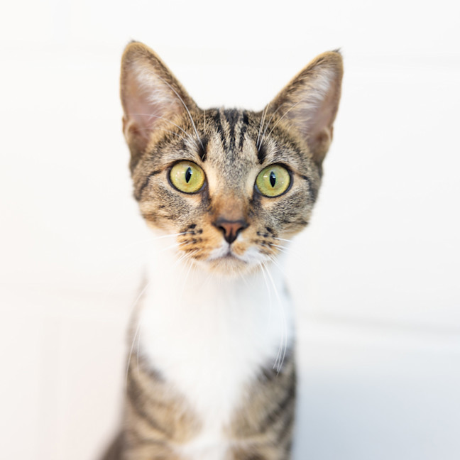 Photo of Helga