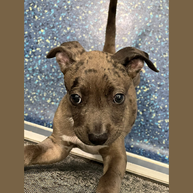 Photo of Jax