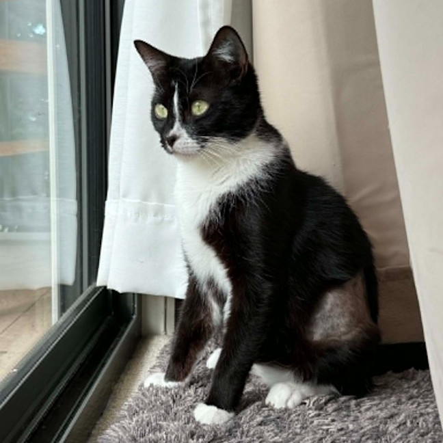 Photo of Jasmine