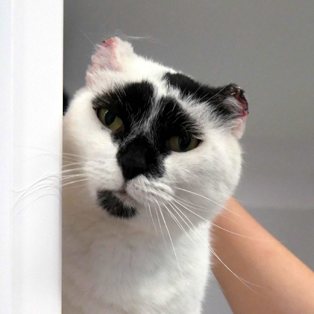 Photo of Frank Rsta011081