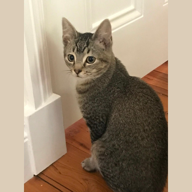 Photo of Billy And Oliver