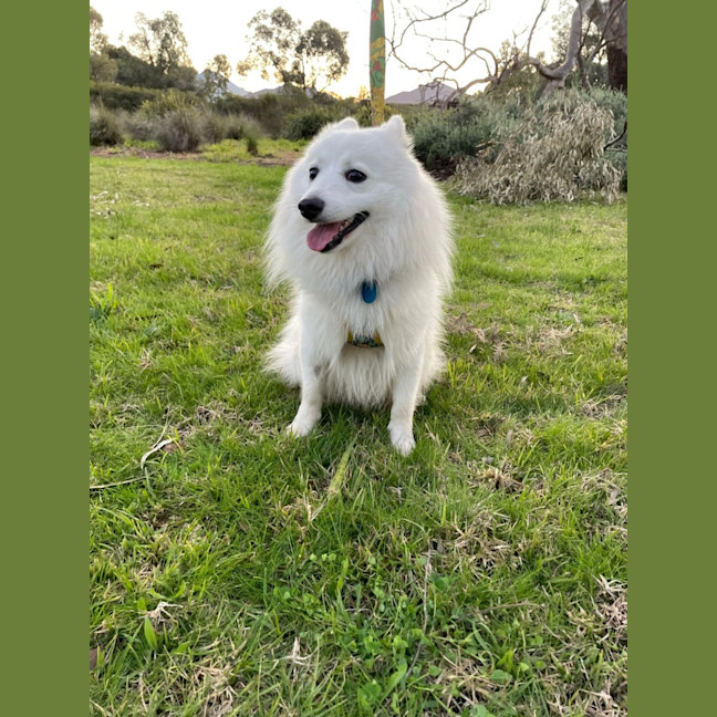 Photo of Casper 