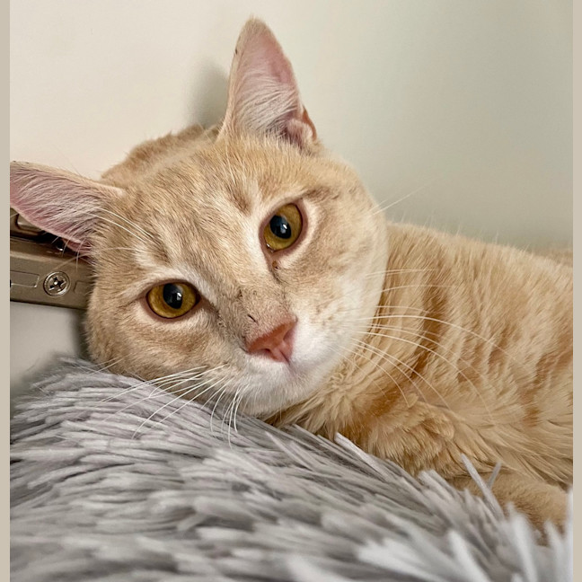 Photo of Mr G (Now Sunny)