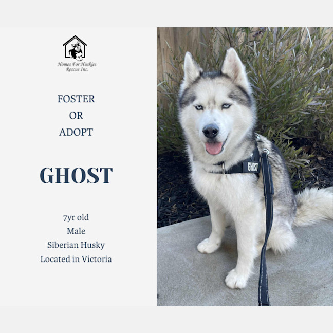 Photo of Ghost